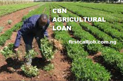 CBN Agric Loan Application Form